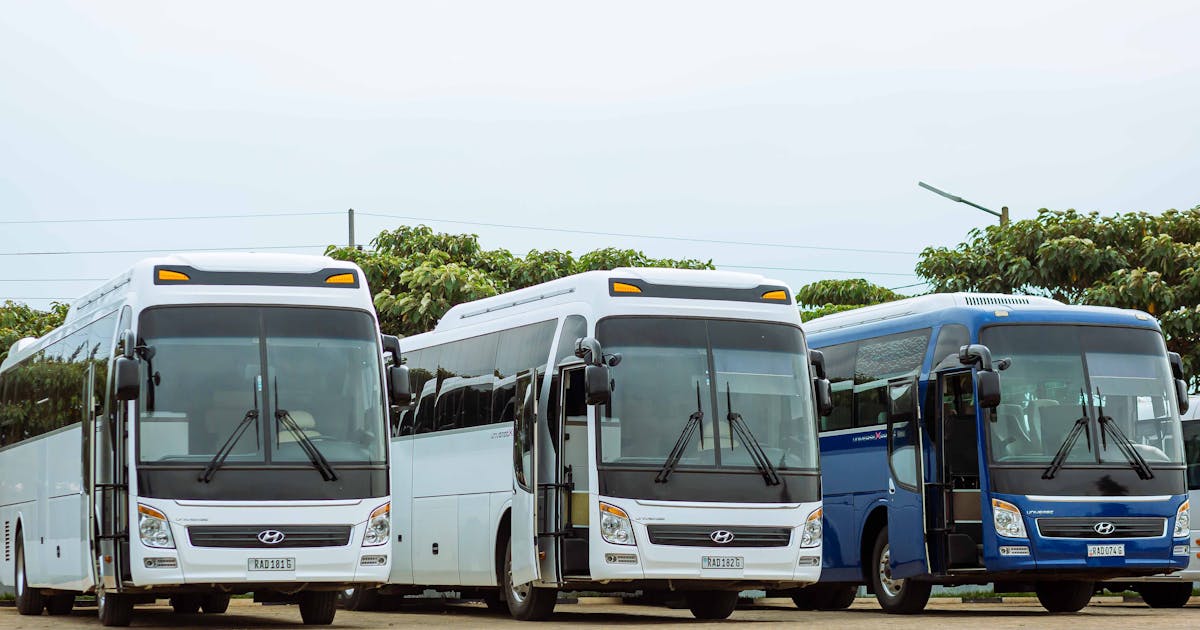Patente D — Autobus e pullman